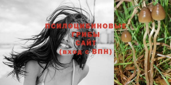 2c-b Нефтекумск