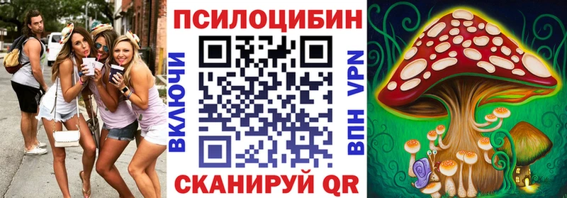 Купить где  Кашин  Псилоцибиновые грибы Psilocybine cubensis 