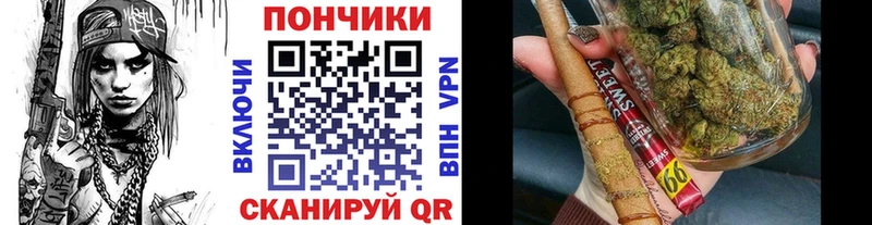 Купить где  Кашин  МАРИХУАНА индика 